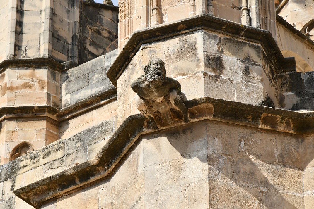 Gàrgola de la Catedral de Tortosa