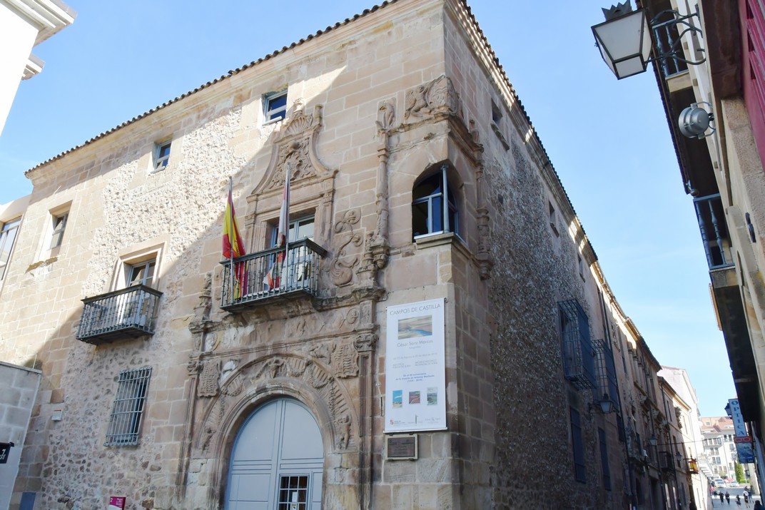 Palau dels Río i Salcedo de Sòria