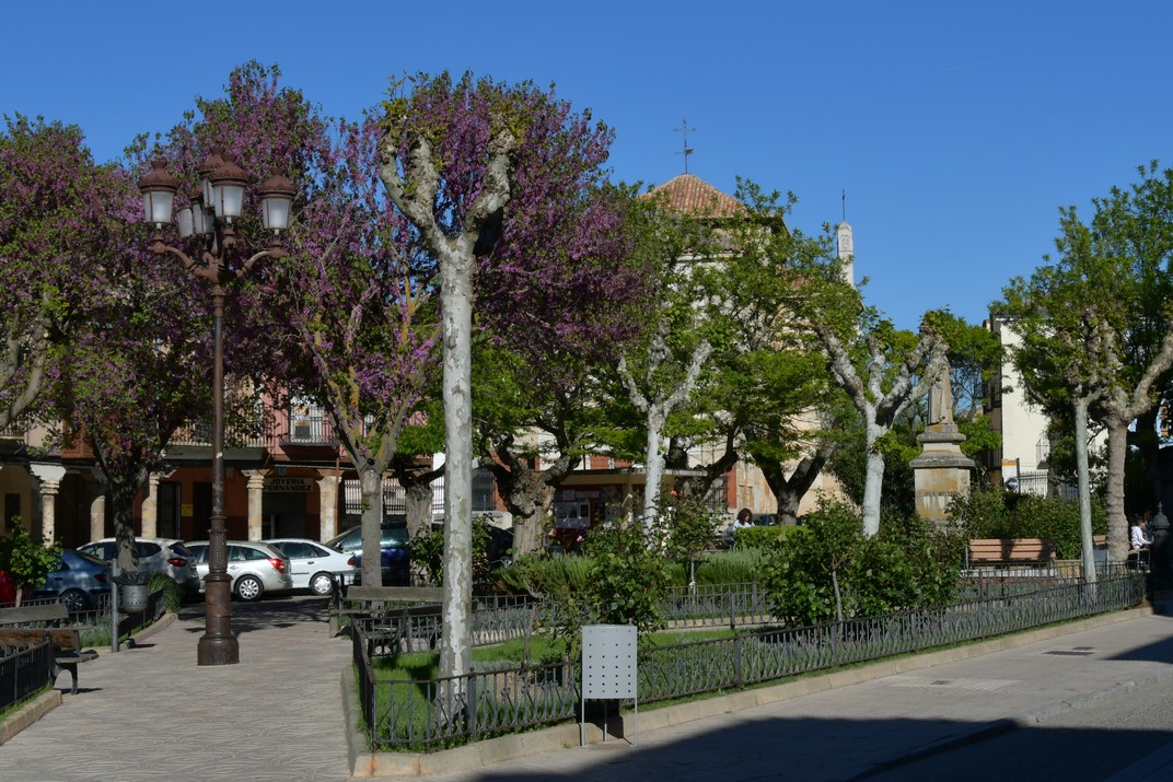 Plaça de Santa Marina de Toro