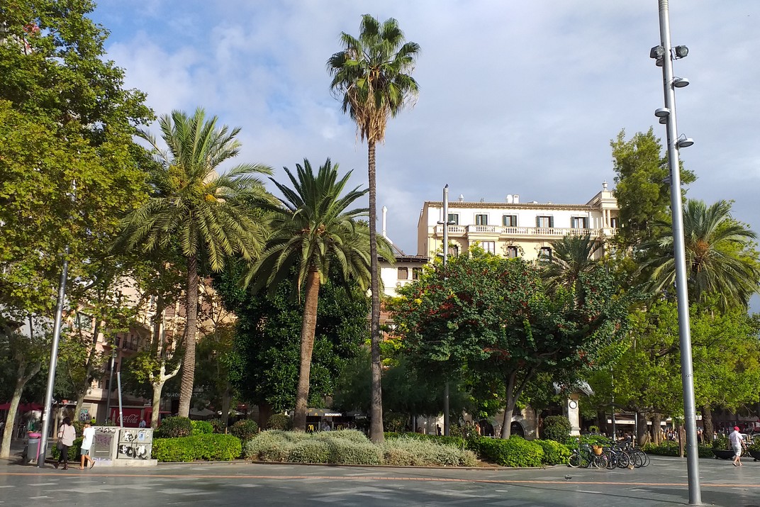 Plaça d'Espanya de Palma