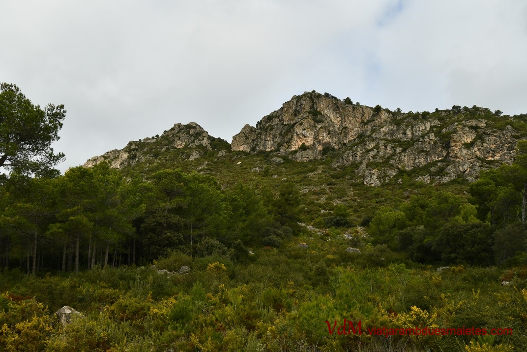 Serra del Montmell