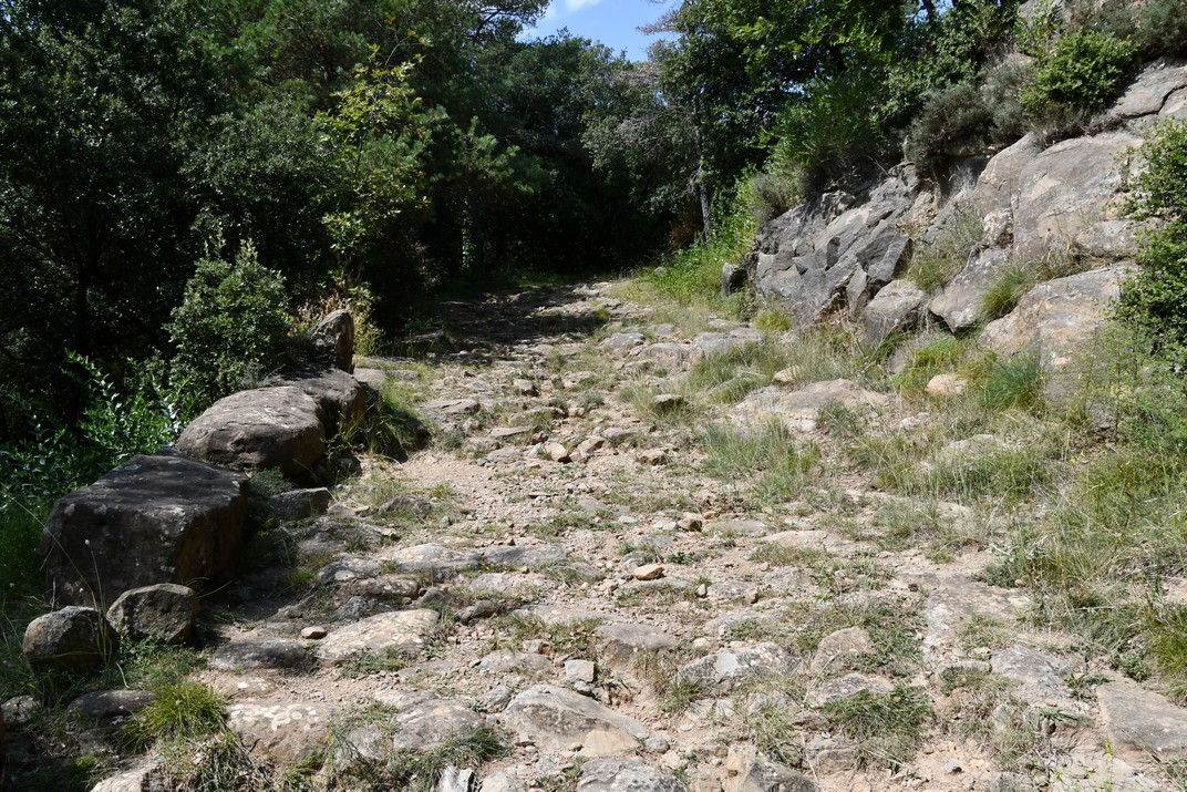 Ruta romànica de la Vall de Camprodon - Via romana del Capsacosta