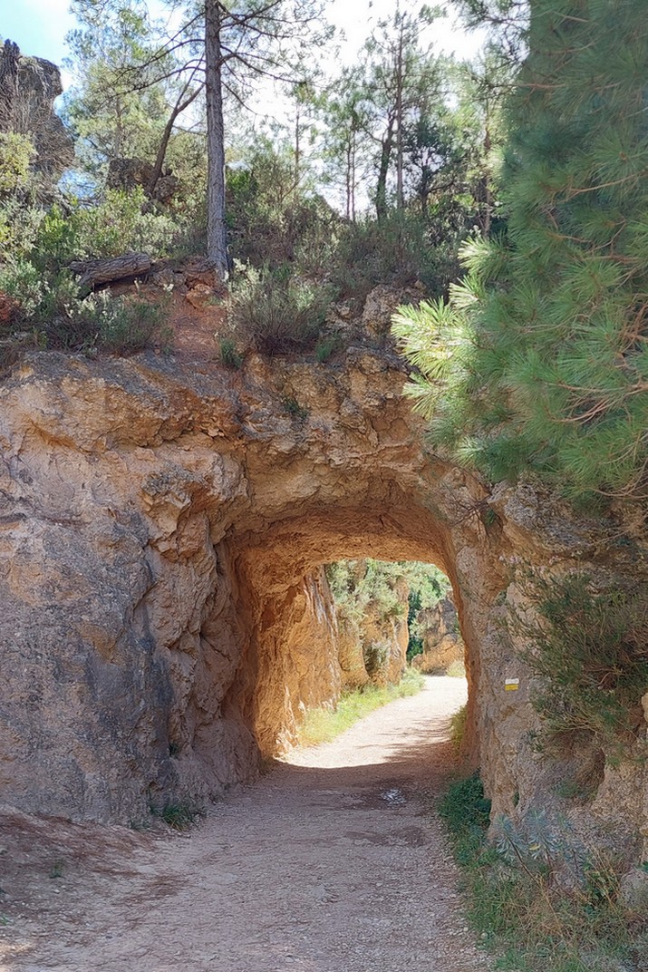 Túnel d'entrada a la ruta botànica de les passarel·les del Parrissal de Beseit