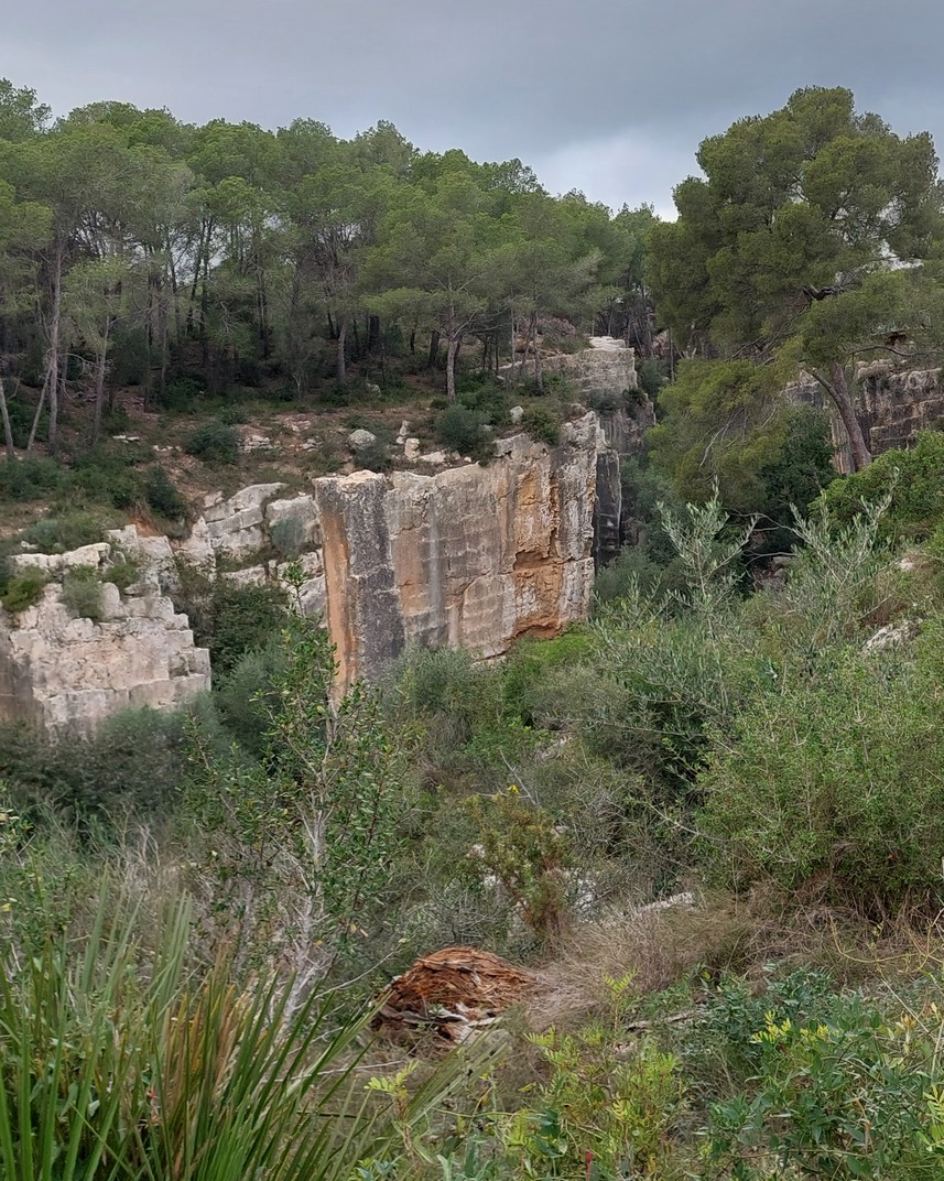 El Clot de la pedrera del Mèdol del conjunt de monuments romans de Tarragona