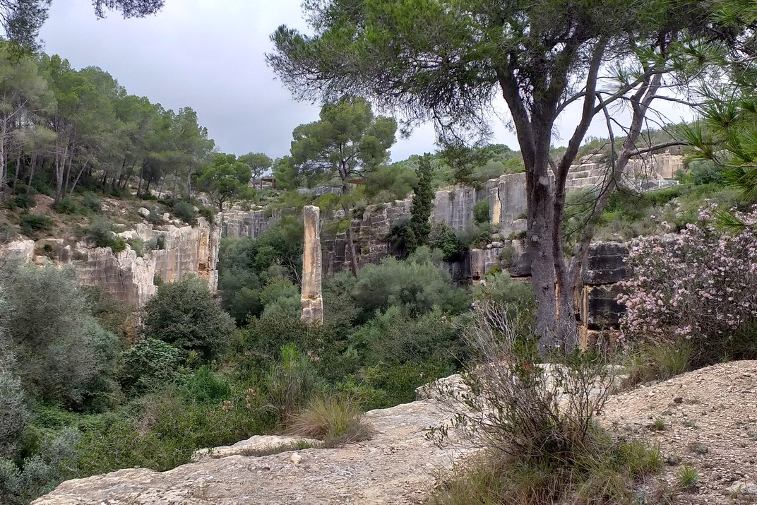 Escapades per Catalunya - Clot del Mèdol del Camp de Tarragona