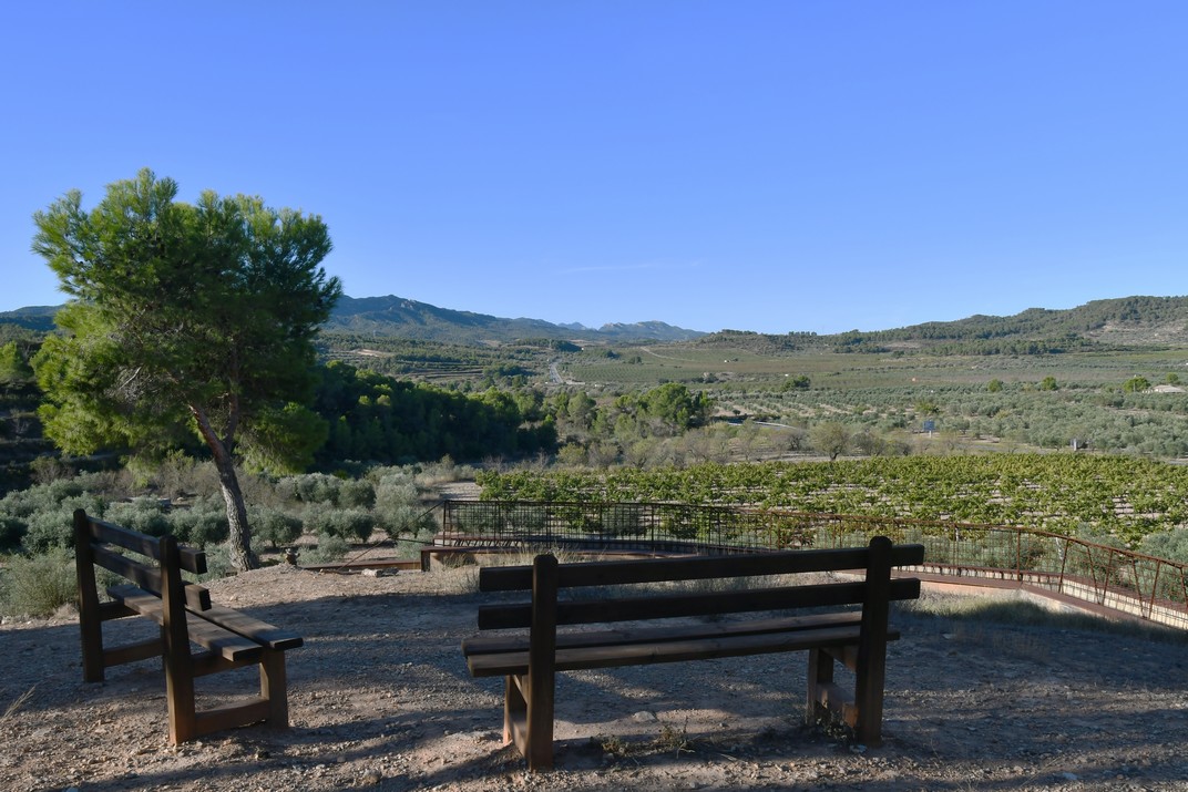 Mirador del Memorial de les Camposines de la batalla de l'Ebre de la Terra Alta