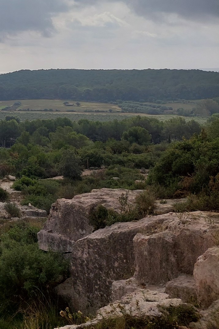 Sector dels Nous Fronts de la pedrera del Mèdol del conjunt de monuments romans de Tarragona