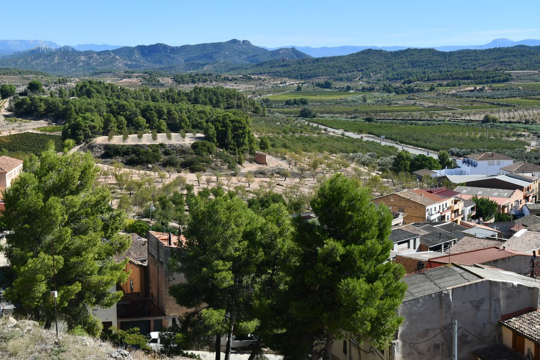 Vistes des del Poble Vell de Corbera d'Ebre